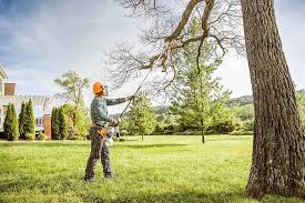 Best Tree Risk Assessment  in USA